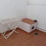 El Pulguilla *